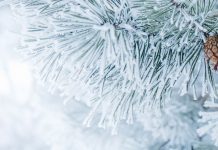 Thomson Reuters presenta las novedades editoriales de febrero de 2022 paisaje nevado