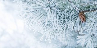 Thomson Reuters presenta las novedades editoriales de diciembre de 2020 paisaje nevado