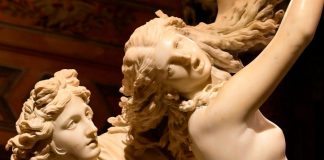 La metamorfosis de Laura en un árbol enamorado