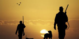 La caza en tiempo de veda es delito