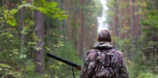 La Audiencia de Ávila absuelve a dos cazadores condenados por matar a un lobo