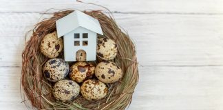 La casa nido cuando hay custodia compartida