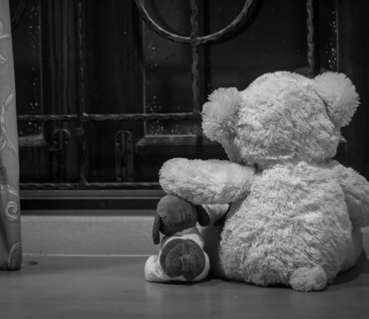 La custodia compartida de los hijos de corta edad