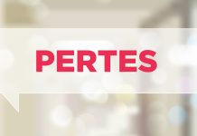 La oportunidad de los ‘PERTES’: empresas innovadoras-universidad