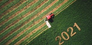 La nueva PAC 2023-2027: una PAC más verde, justa, flexible, y basada en los rendimientos, podrá garantizar una agricultura más sostenible en la Unión