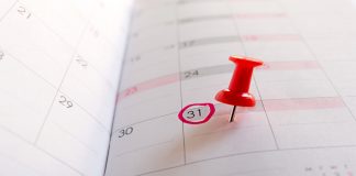 ¿Cuál es el plazo para resolver y notificar un procedimiento de resolución contractual en el sector público?