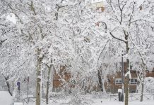 ¿Quién asume los daños causados por Filomena?