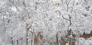 ¿Quién asume los daños causados por Filomena?