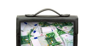 El Registro de Titularidades Reales en un paradigma de interconexión Maletín lleno de dinero