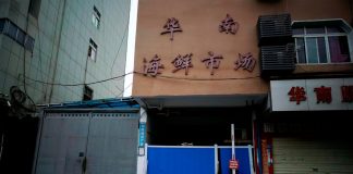 Panel independiente de revisión de pandemia crítico con China, retrasos de la OMS