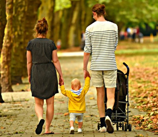 Otro año perdido para la conciliación de la abogacía