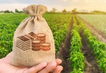 La cuota de la plusvalía no puede ser igual o mayor que el incremento patrimonial obtenido, ni desproporcionado