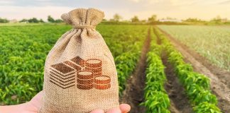 El desconcierto sobre la plusvalía municipal a la improvisación