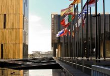 La importancia de la substancia: el impacto de las sentencias danesas (II) Unión Europea