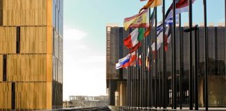 La importancia de la substancia: el impacto de las sentencias danesas (II) Unión Europea