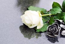 El Tribunal Supremo confirma la declaración de utilidad pública de la Asociación Derecho a Morir Dignamente Una rosa sobre una lápida