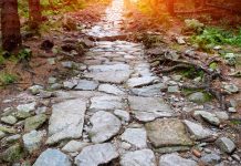 El interrogatorio del perito adverso, el largo y tortuoso camino