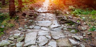 El interrogatorio del perito adverso, el largo y tortuoso camino