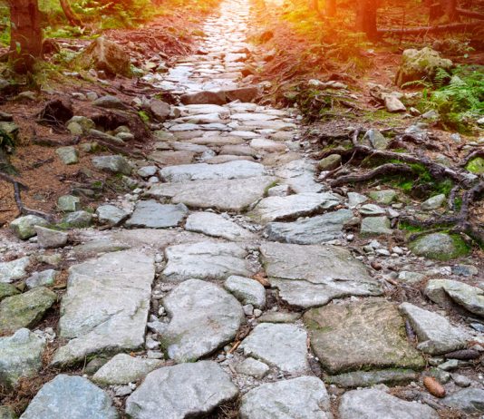 El interrogatorio del perito adverso, el largo y tortuoso camino