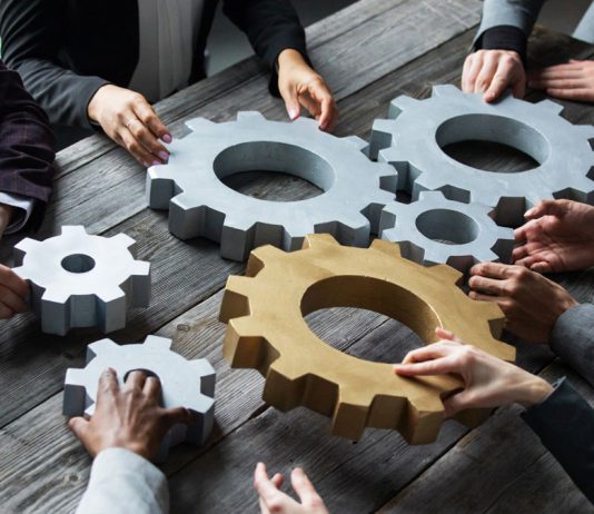 Sobre los derechos de los socios minoritarios en las sociedades de responsabilidad limitada