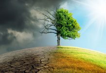 El marco europeo para alcanzar la neutralidad climática