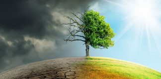 El marco europeo para alcanzar la neutralidad climática