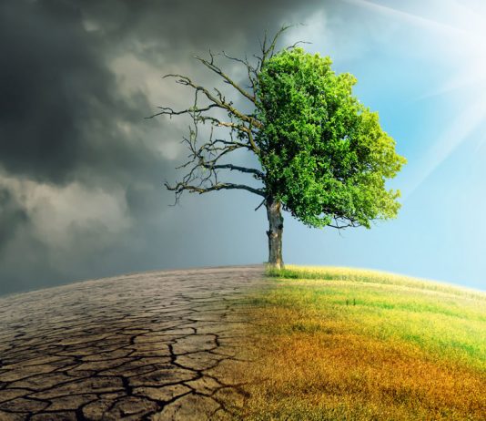 El marco europeo para alcanzar la neutralidad climática