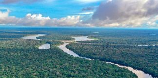 Un impuesto global mínimo ¿También sobre el carbono?