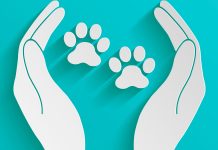 Los animales dejan de ser cosas. ¿Qué supone esto?