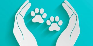 Sobre la derogación de la normativa que regula el régimen jurídico de la tenencia de animales potencialmente peligrosos y la creación de una Ley Marco de Bienestar Animal