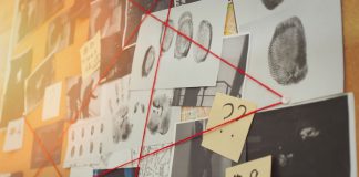 El derecho a conocer de la investigación policial previa al proceso judicial