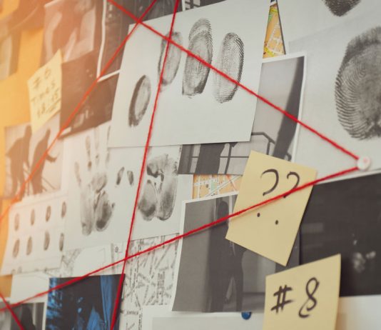 El derecho a conocer de la investigación policial previa al proceso judicial