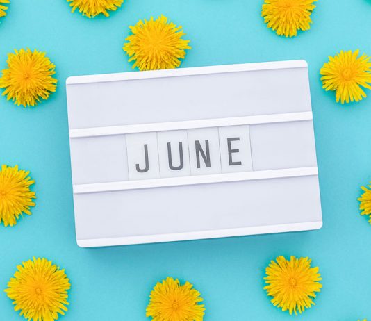 Thomson Reuters presenta las novedades editoriales de junio de 2022 Palabra junio