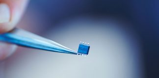 Microchips y transhumanismo: el camino hacia un control total de nuestro cuerpo Microchip