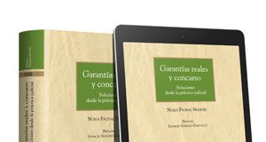 Garantías reales y concurso: soluciones desde la práctica judicial (Dúo) 978-84-1390-377-4