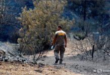 El TSJ anula la instrucción de la Junta de Castilla y León sobre la incorporación de medios y la regulación del sistema de guardias de incendios forestales Un hombre camina junto a árboles quemados tras un incendio forestal cerca de la aldea de Ora, en la región montañosa de Larnaca, Chipre 4 de julio de 2021. REUTERS/George Christophorou