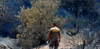 Cuatro muertos por el devastador incendio forestal de Chipre Un hombre camina junto a árboles quemados tras un incendio forestal cerca de la aldea de Ora, en la región montañosa de Larnaca, Chipre 4 de julio de 2021. REUTERS/George Christophorou