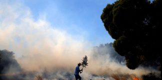 Bomberos griegos luchan contra el creciente incendio forestal cerca de Atenas