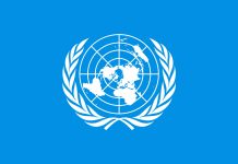 ¿Puede la ONU liderar la fiscalidad internacional en detrimento de la OCDE?