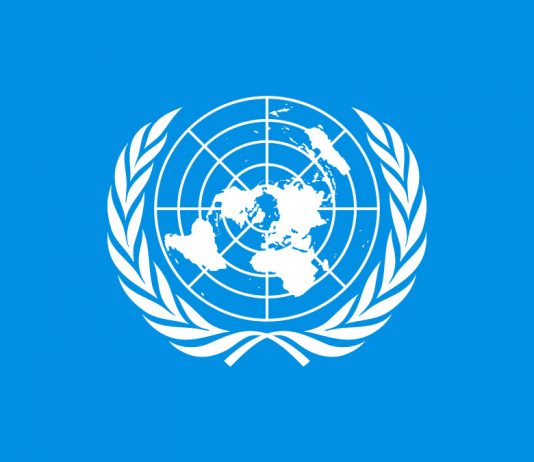¿Puede la ONU liderar la fiscalidad internacional en detrimento de la OCDE?