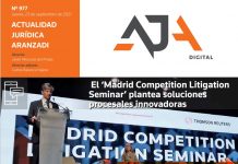 Los expertos abogan por una mayor flexibilidad y cooperación entre las partes para evitar que los litigios masivos colapsen los juzgados