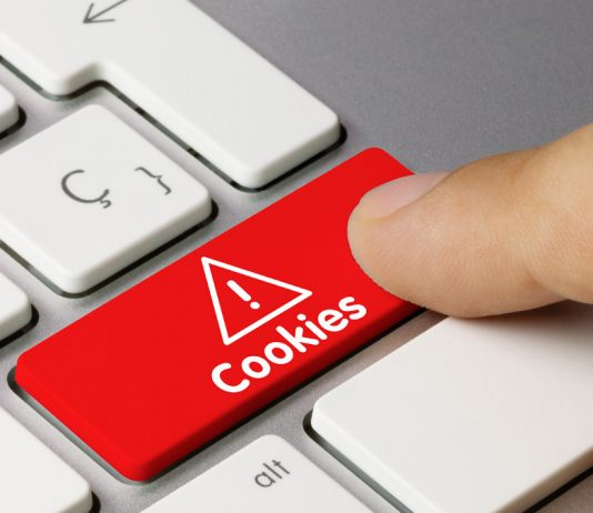 ¿Desaparecen las cookies?