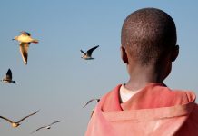 El interés superior del menor y la reubicación de menores extranjeros no acompañados