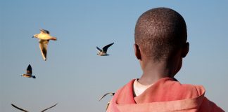 El interés superior del menor y la reubicación de menores extranjeros no acompañados