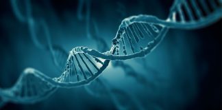 Utilización de datos probatorios de terceros países que acceden al proceso penal por cooperación