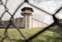 Un juez de Roquetas decreta el ingreso en prisión de una mujer por maltrato animal, estafa y falsedad documental