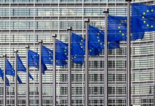 Propuesta de Directiva ATAD 3: Shell Company, paso a paso