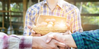 Principales cambios en la Ley de Cadena Alimentaria