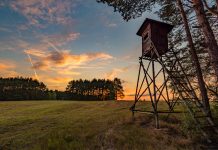 El TSJCyL declara nulo el decreto que regula la conservación de las especies cinegéticas y su aprovechamiento sostenible