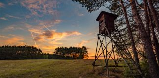 El TSJCyL declara nulo el decreto que regula la conservación de las especies cinegéticas y su aprovechamiento sostenible